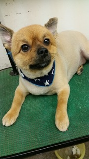 20180626_185029.jpg