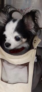 20191119_104155.jpg